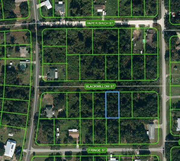 Lake Placid, FL 33852,1511 BLACKWILLOW ST