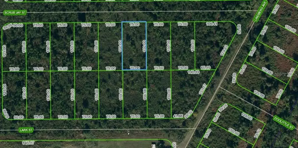 Lake Placid, FL 33852,1431 SCRUB JAY ST