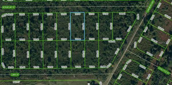 1431 SCRUB JAY ST, Lake Placid, FL 33852