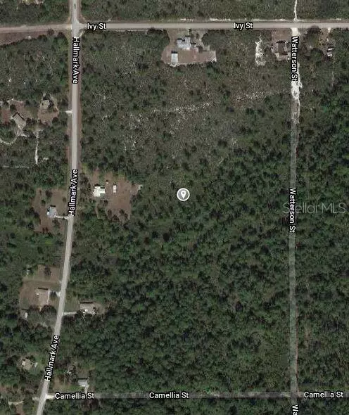 Lake Placid, FL 33852,1411 CALADIUM ST