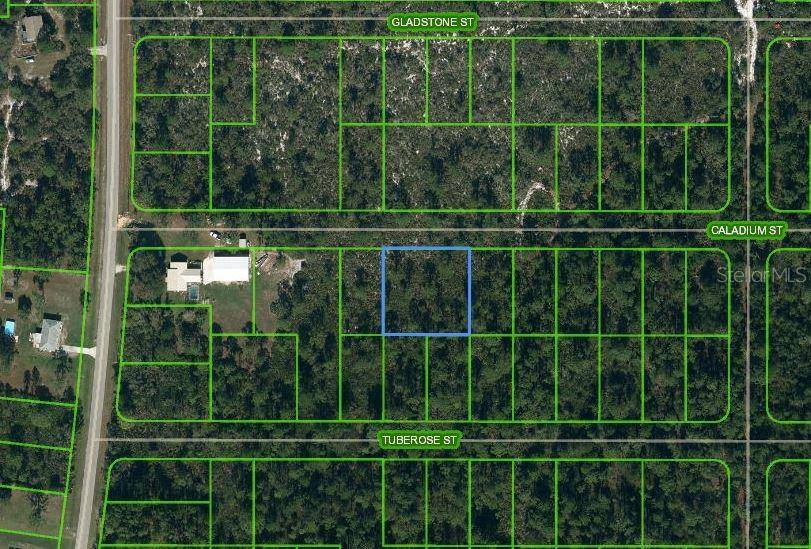 1411 CALADIUM ST, Lake Placid, FL 33852