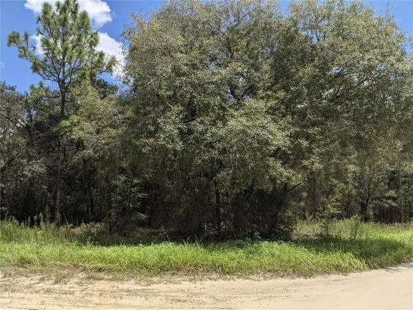 TBD SW 89TH STREET, Dunnellon, FL 34432