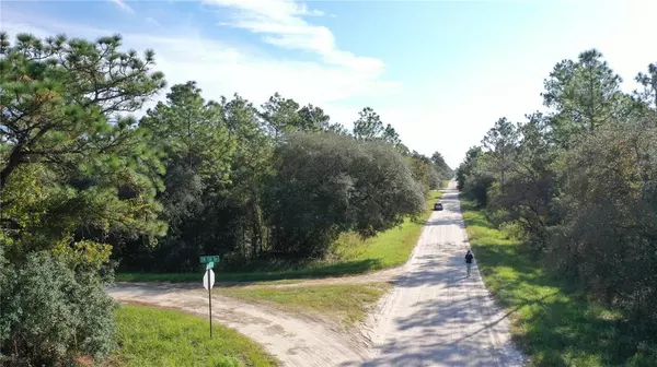 Dunnellon, FL 34432,TBD SW 89TH STREET