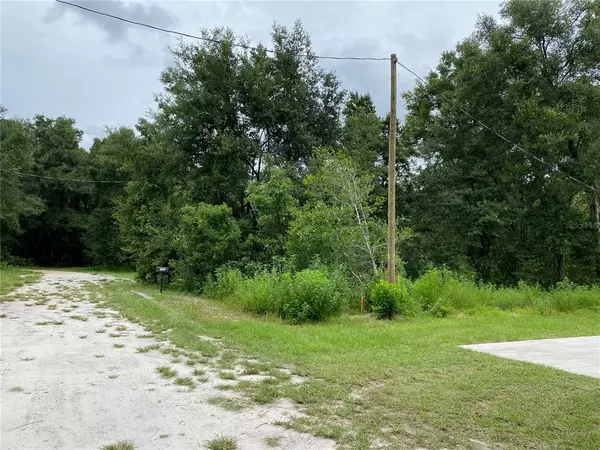 Summerfield, FL 34491,TBD SE 40TH AVE