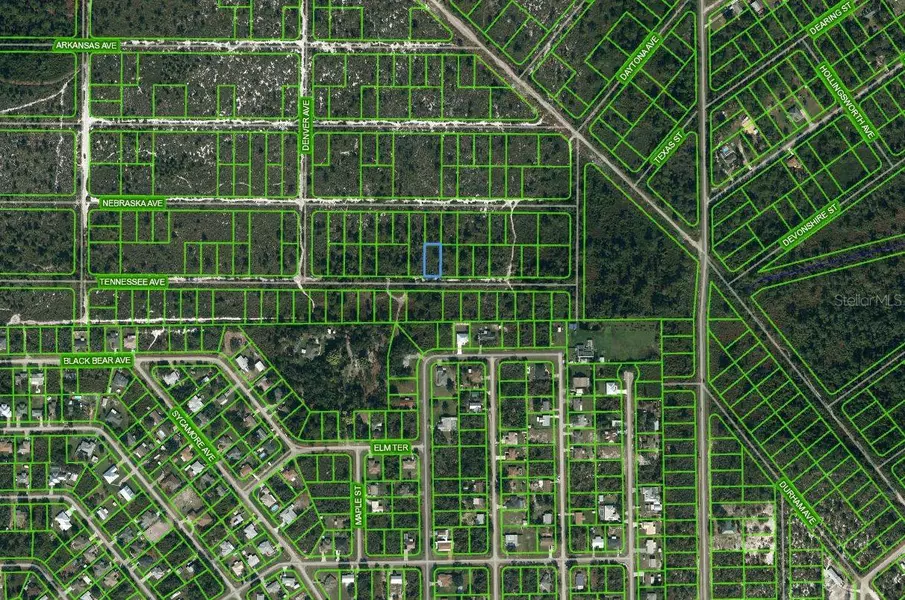 590 TENNESSEE AVE, Lake Placid, FL 33852