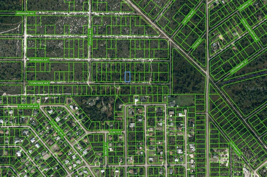 590 TENNESSEE AVE, Lake Placid, FL 33852