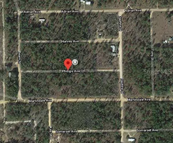 Interlachen, FL 32148,00 PHILLIPS AVE