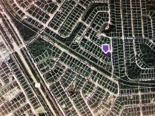 Citrus Springs, FL 34434,9208 N RHINE WAY