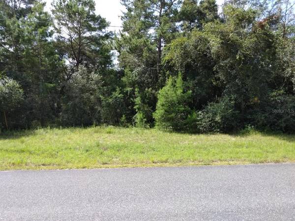 0 SW 132ND LN, Ocala, FL 34473