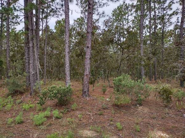 TBD SW 66 ST, Dunnellon, FL 34432