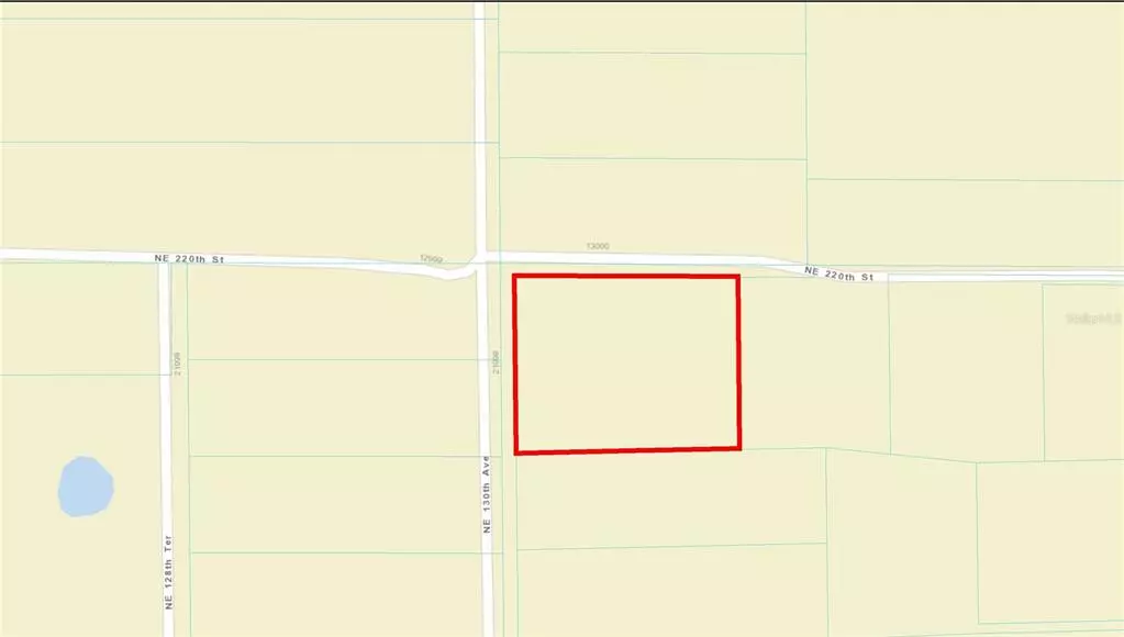 Fort Mc Coy, FL 32134,TBD NE 220 ST