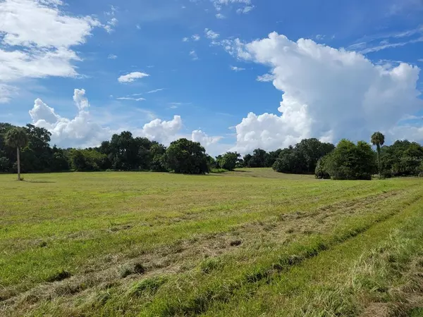 Reddick, FL 32686,Lot #3 (SOA) NW 185TH ST