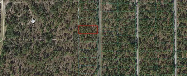 Dunnellon, FL 34431,0000 NW RIDGEWOOD RD