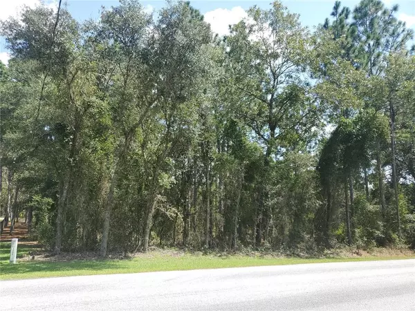 Dunnellon, FL 34431,Lot 22 SE 125TH CT