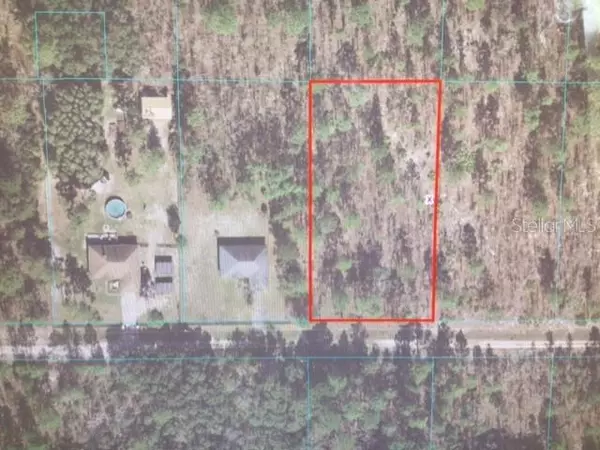 Dunnellon, FL 34432,0 SW 95 PLACE