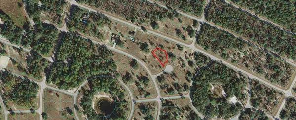 Ocklawaha, FL 32179,Lot #6 MALAUKA RADIAL CT