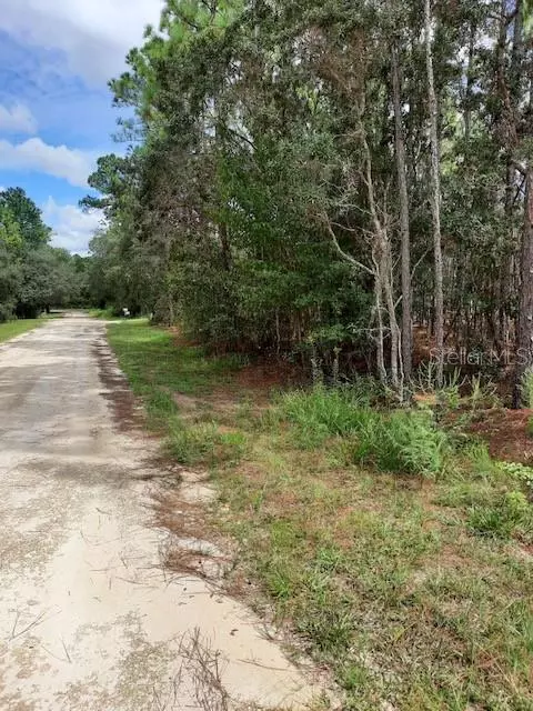 Dunnellon, FL 34432,0 SW 177TH CT