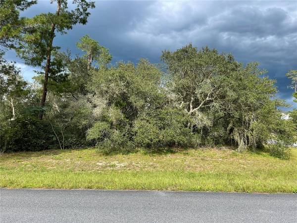 SW 31ST CIRCLE, Ocala, FL 34473