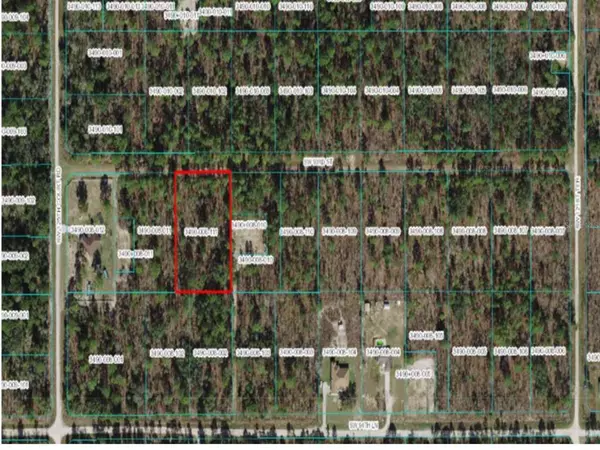 Dunnellon, FL 34432,TBA SW 93RD ST