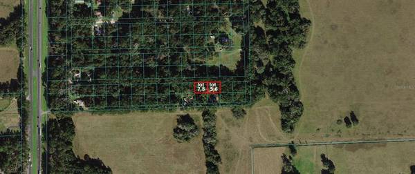 00 NW 122ND LN, Citra, FL 32113