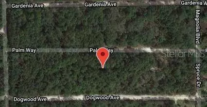 Georgetown, FL 32139,117 PALM WAY