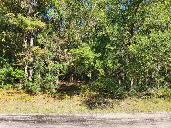 Dunnellon, FL 34432,TBD SW 156 PL