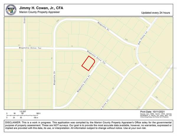 0 MAGNOLIA DRIVE TER, Ocklawaha, FL 32179