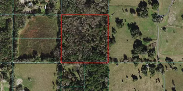 TBD NW 197TH PL, Micanopy, FL 32667