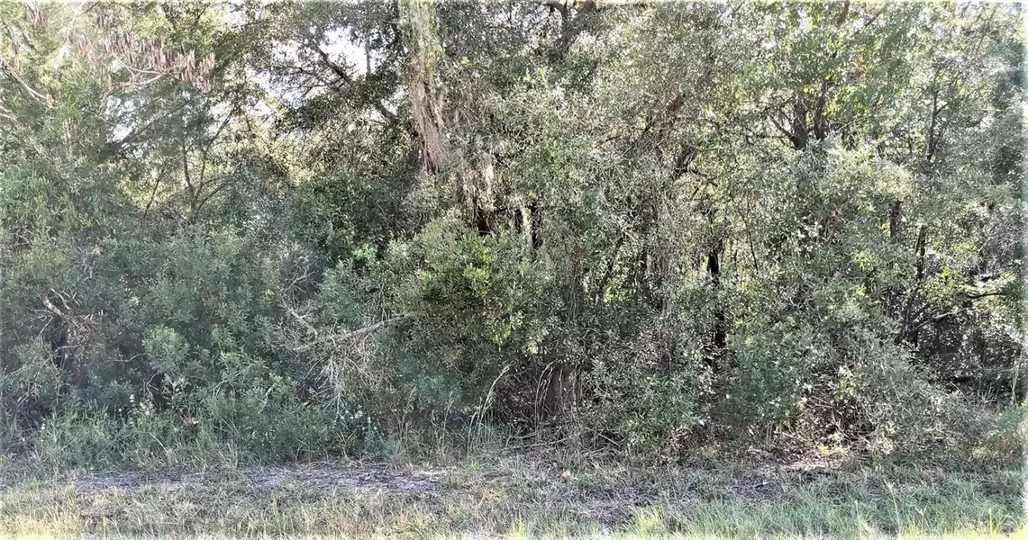TBD SE 23RD PL LOT 5, Morriston, FL 32668
