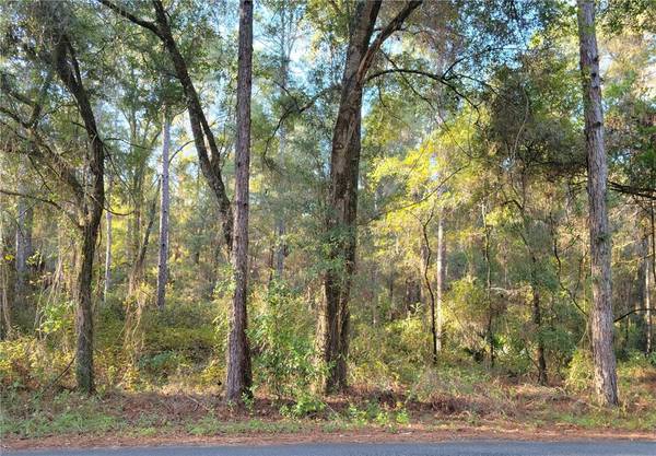 LOT 53 SW 57TH PLACE, Dunnellon, FL 34432