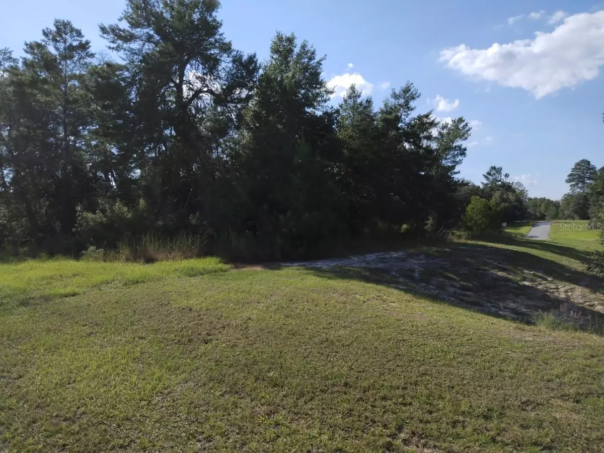 Ocala, FL 34473,0 SW 148TH PLACE RD