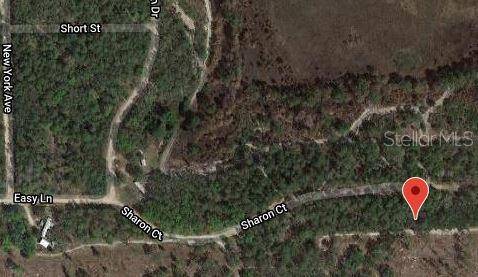 Satsuma, FL 32189,153 SHARON DR