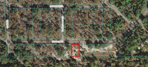 Ocklawaha, FL 32179,Lot 21 GUAVA PASS