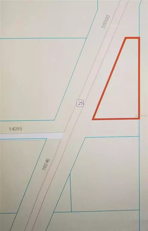 Weirsdale, FL 32195,16051 S HIGHWAY 25