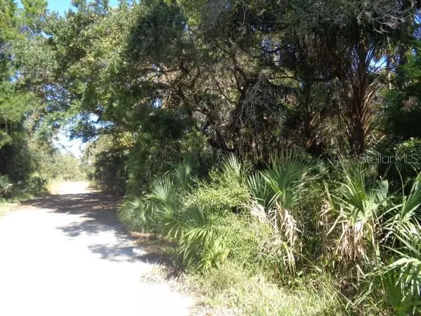 Crystal River, FL 34429,W OZELLO TRAIL AT HOLLOWAY PATH TRL