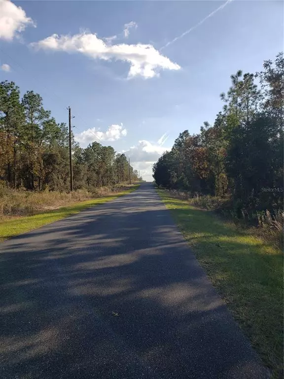 Dunnellon, FL 34431,Lot 12 SW PERSIMMON LN