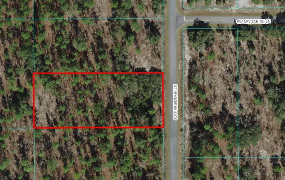 Lot 12 SW PERSIMMON LN, Dunnellon, FL 34431