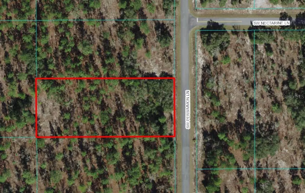 Dunnellon, FL 34431,Lot 12 SW PERSIMMON LN