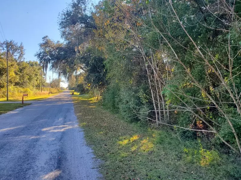 Lot 70-74 SE 101ST TER, Belleview, FL 34420