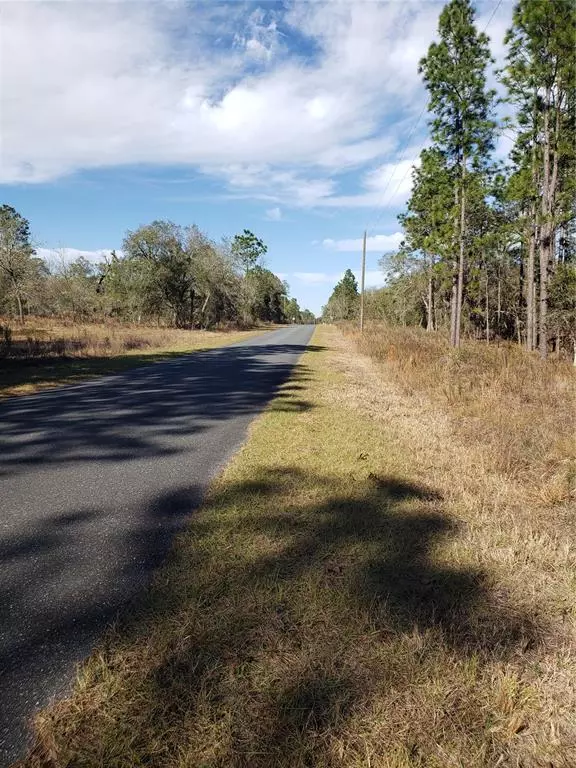 Dunnellon, FL 34431,Lot 38 SW OBEE RIDGE RD