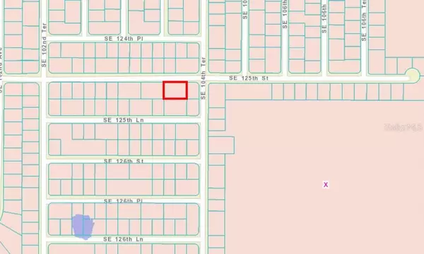 TBD SE 125TH STREET, Belleview, FL 34420