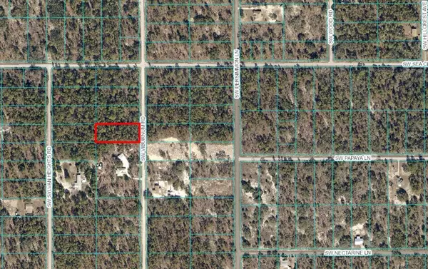 Dunnellon, FL 34431,Lot 4 SW VIBURNUM RD