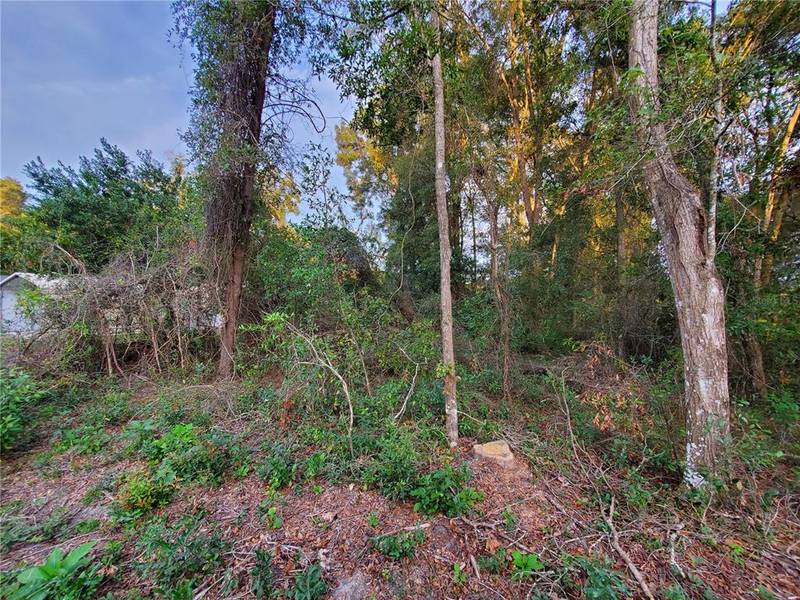 lot 7 SE 38TH TER, Summerfield, FL 34491