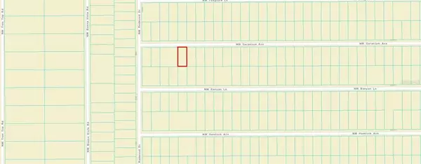 Dunnellon, FL 34431,Lot 5 NW GERANIUM AVE