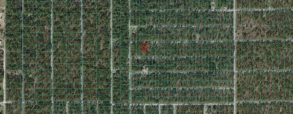 Dunnellon, FL 34431,Lot 5 NW GERANIUM AVE