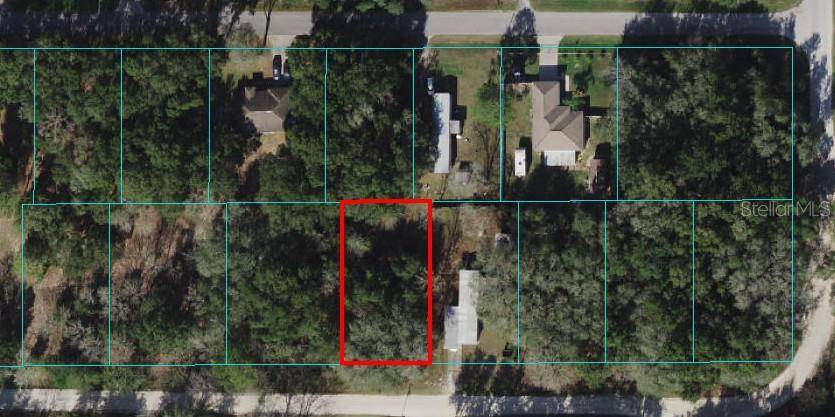 TBD SE 140TH PL, Summerfield, FL 34491