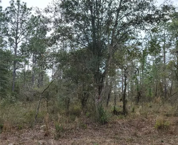 Dunnellon, FL 34431,LOT 9 NW SHAMROCK AVE