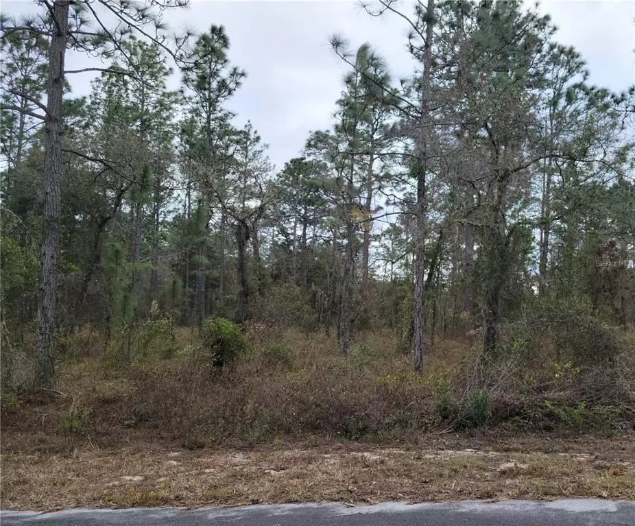 Dunnellon, FL 34431,LOT 9 NW SHAMROCK AVE