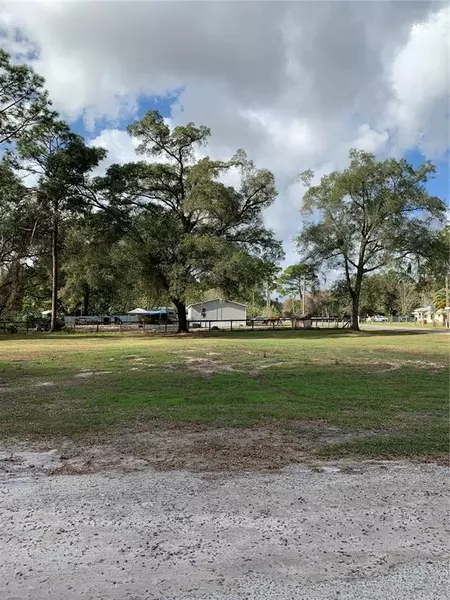 TBD, Summerfield, FL 34491