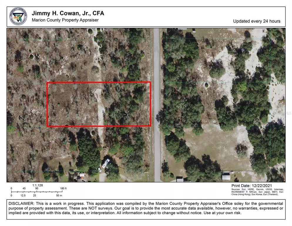 Dunnellon, FL 34431,TBD SW LOBELIA CT